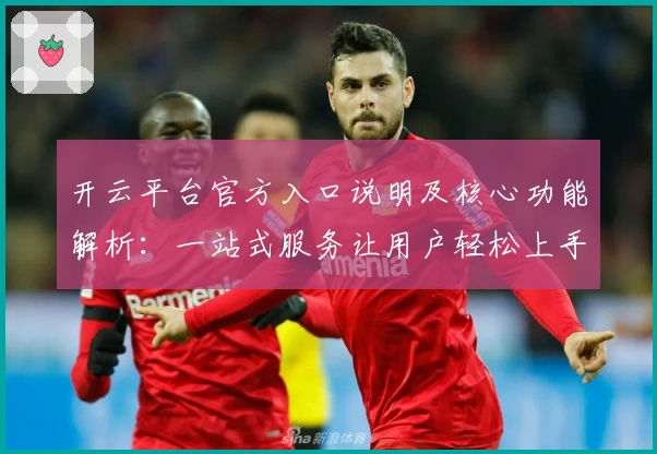开云平台官方入口说明及核心功能解析：一站式服务让用户轻松上手